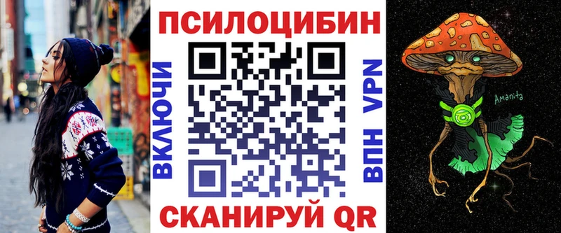 Псилоцибиновые грибы Cubensis  даркнет сайт  Кола 